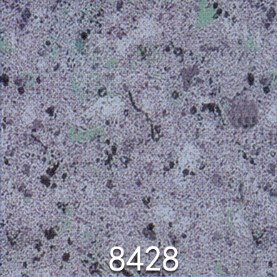 舒可麗塑膠地板